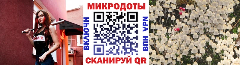 Псилоцибиновые грибы прущие грибы  даркнет сайт  гидра tor  Володарск 