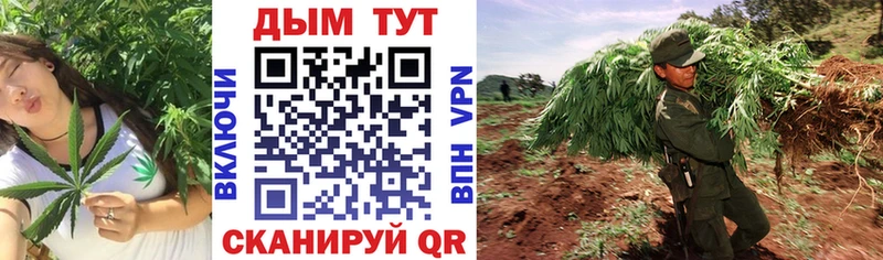 площадка как зайти  Володарск  кракен маркетплейс  Шишки марихуана LSD WEED  цена  